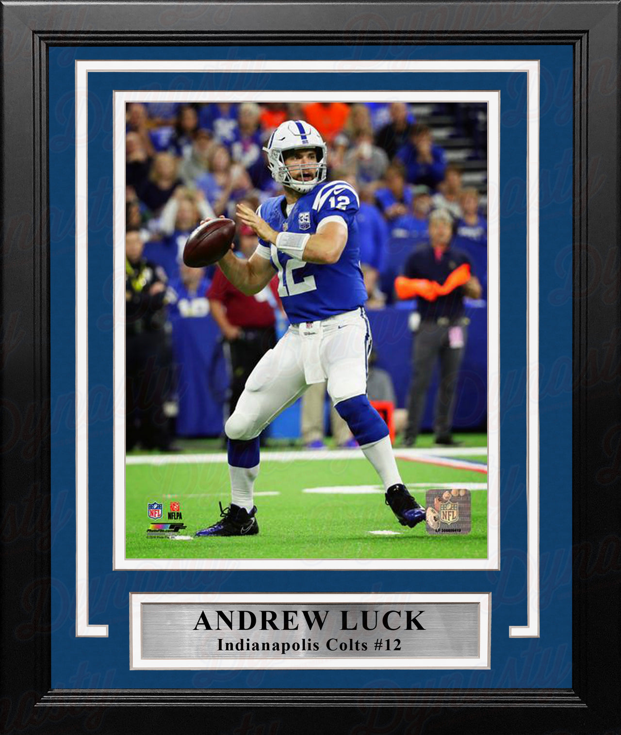 Andrew Luck in Action Indianapolis Colts 8" x 10" Framed Football Photo