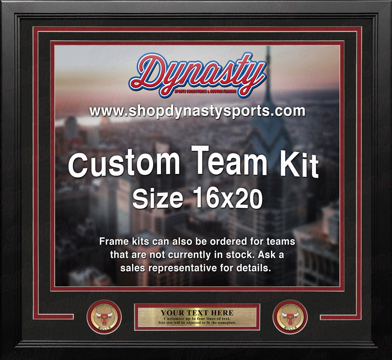 Chicago Bulls Custom NBA Basketball 16x20 Picture Frame Kit (Multiple Colors)