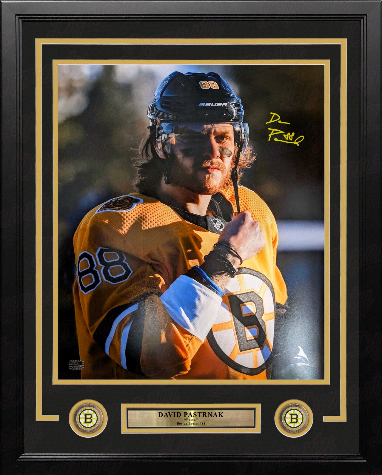 David Pastrnak Lake Tahoe Close-Up Autographed Boston Bruins 16" x 20" Framed Hockey Photo