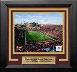 Minnesota Golden Gophers TCF Bank Stadium 8" x 10" Framed College Football Photo - Dynasty Sports & Framing