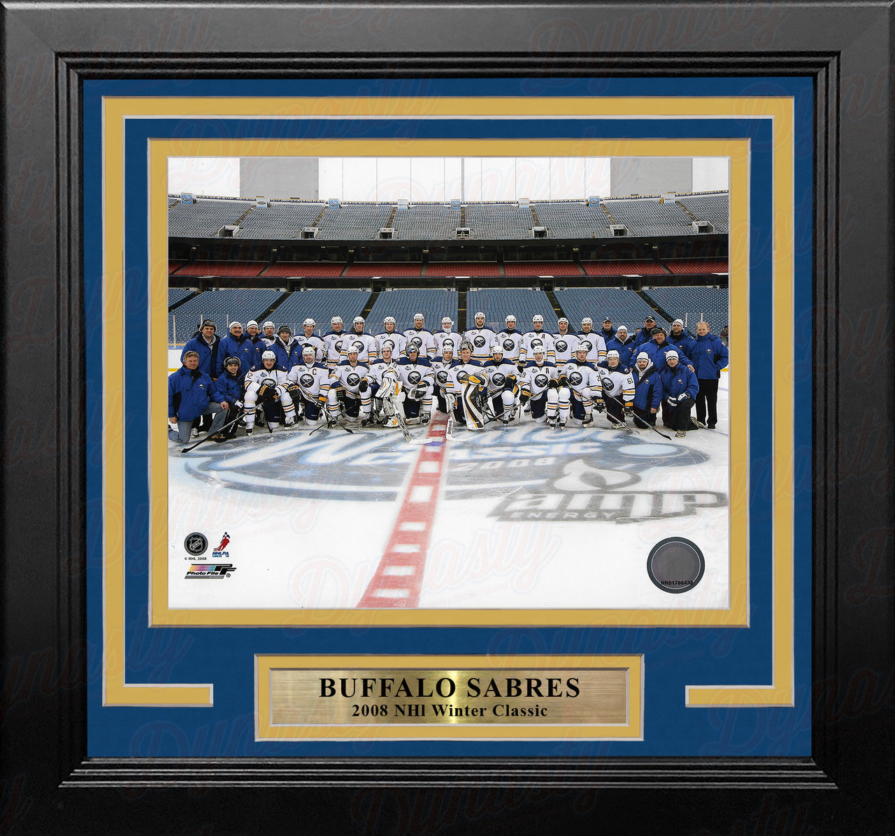 Buffalo Sabres 2008 Winter Classic Line-Up 8" x 10" Framed Hockey Photo