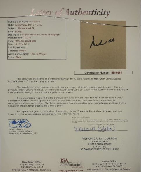 Muhammad Ali Autographed Framed Boxing Photo - Dynasty Sports & Framing