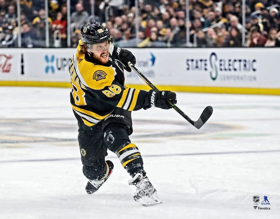 David Pastrnak Shooting Action Boston Bruins 8" x 10" Hockey Photo - Dynasty Sports & Framing 