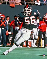 Lawrence Taylor in Action New York Giants 8" x 10" Football Photo - Dynasty Sports & Framing