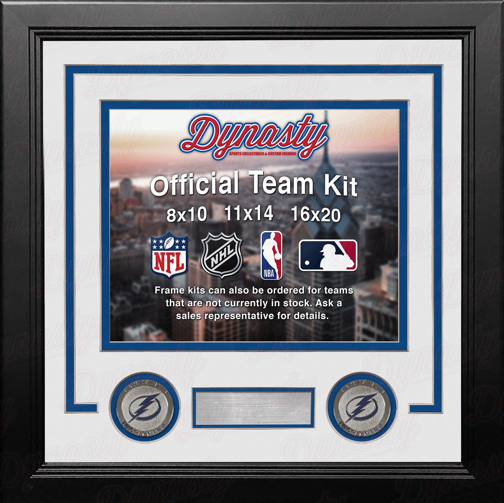Tampa Bay Lightning Custom NHL Hockey 8x10 Picture Frame Kit (Multiple Colors) - Dynasty Sports & Framing