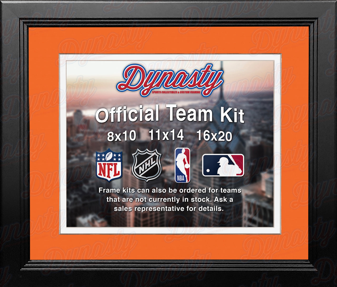 Cincinnati Bengals Custom NFL Football 16x20 Picture Frame Kit (Multiple Colors) - Dynasty Sports & Framing 