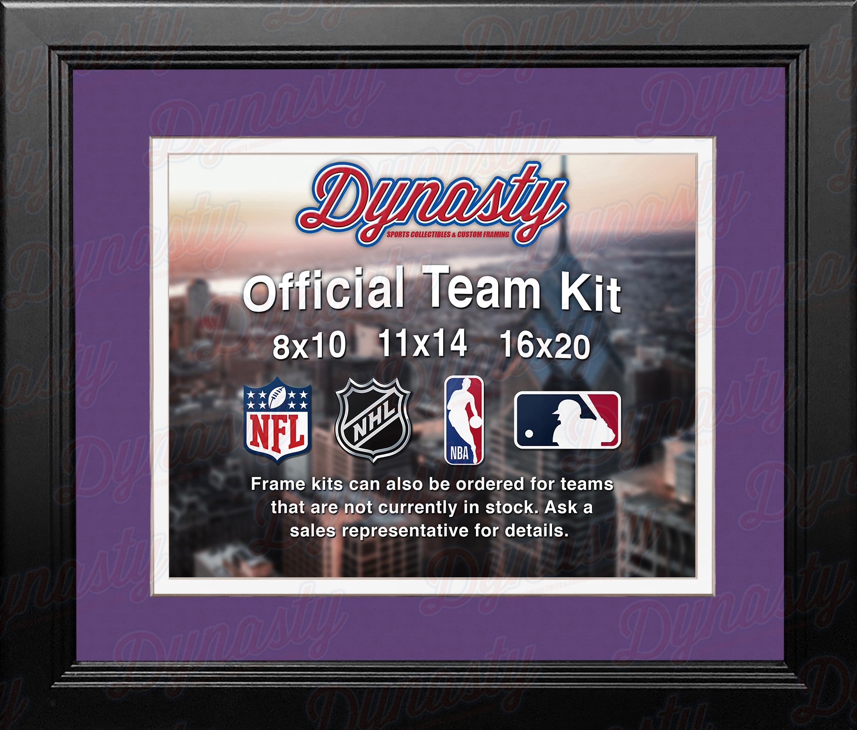 NBA Basketball Photo Picture Frame Kit - Charlotte Hornets (Purple Matting, White Trim) - Dynasty Sports & Framing