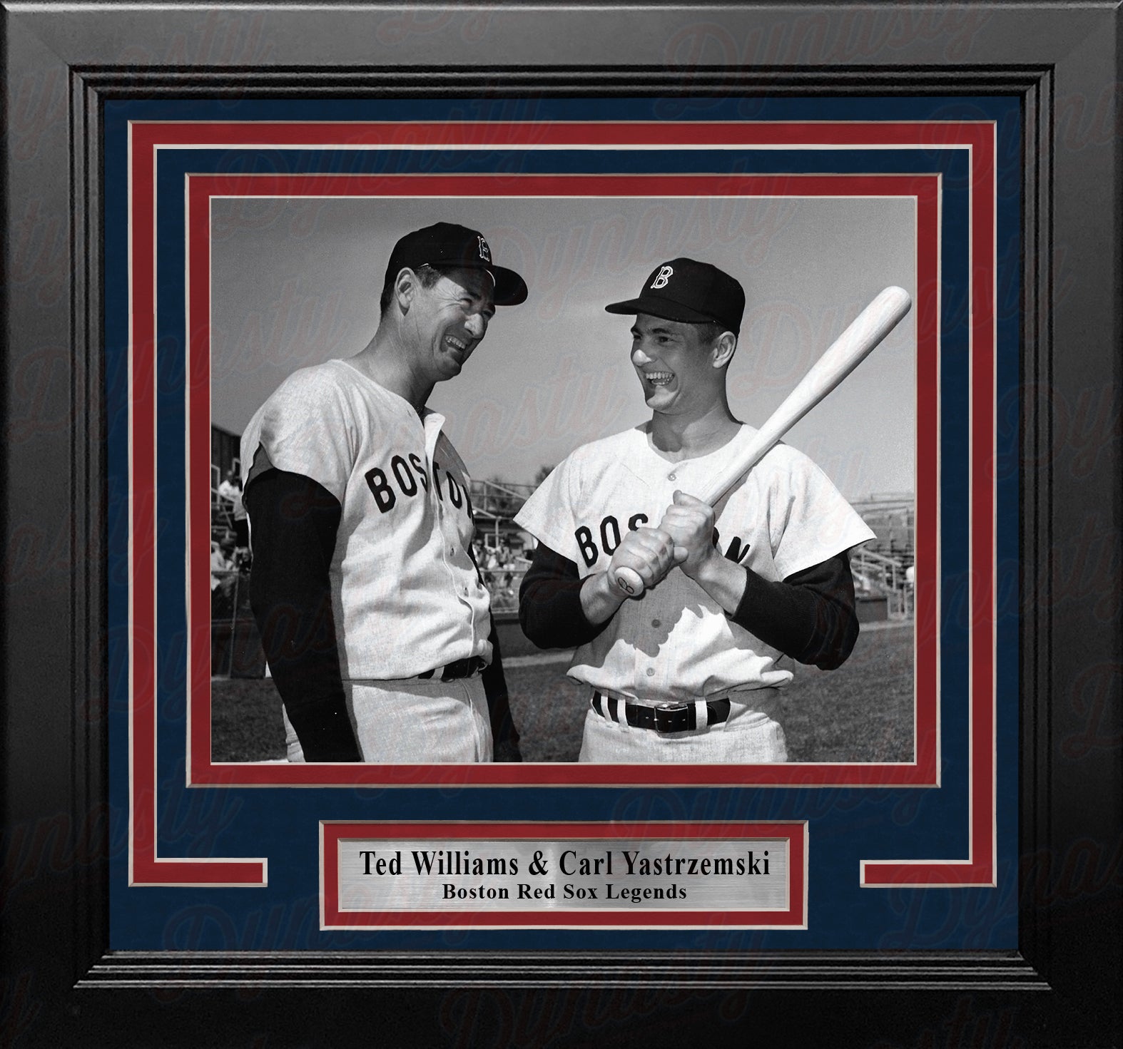 Ted Williams & Carl Yastrzemski Boston Red Sox 8 x 10 Framed Baseball  Photo