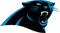 Carolina Panthers NFL Football Collection