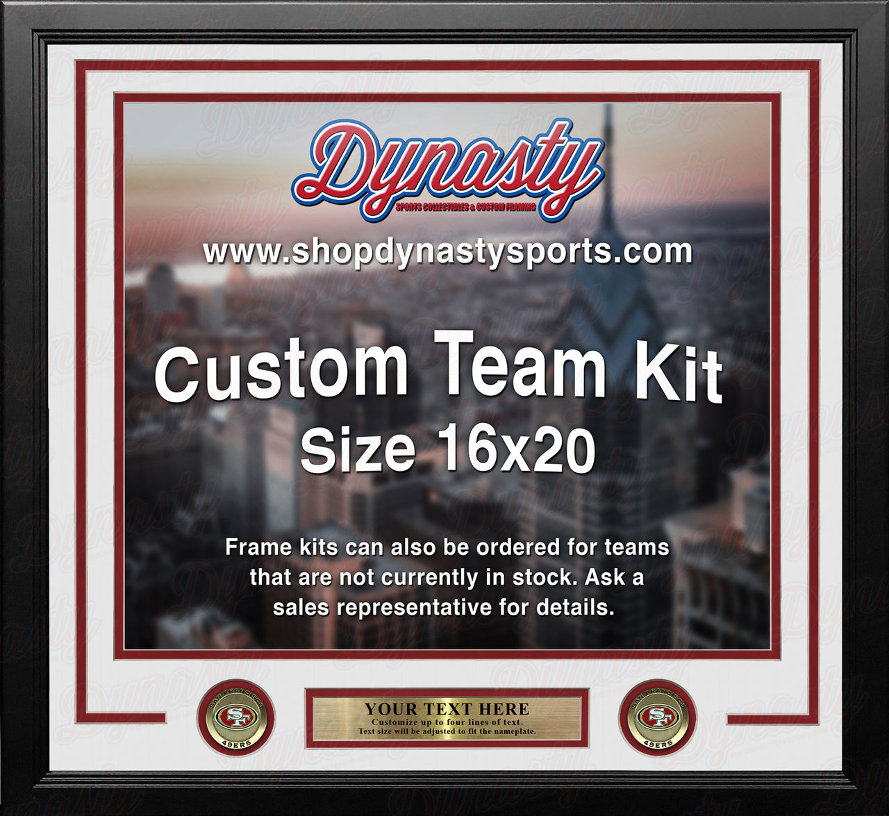 San Francisco 49ers Custom NFL Football 16x20 Picture Frame Kit (Multiple Colors)