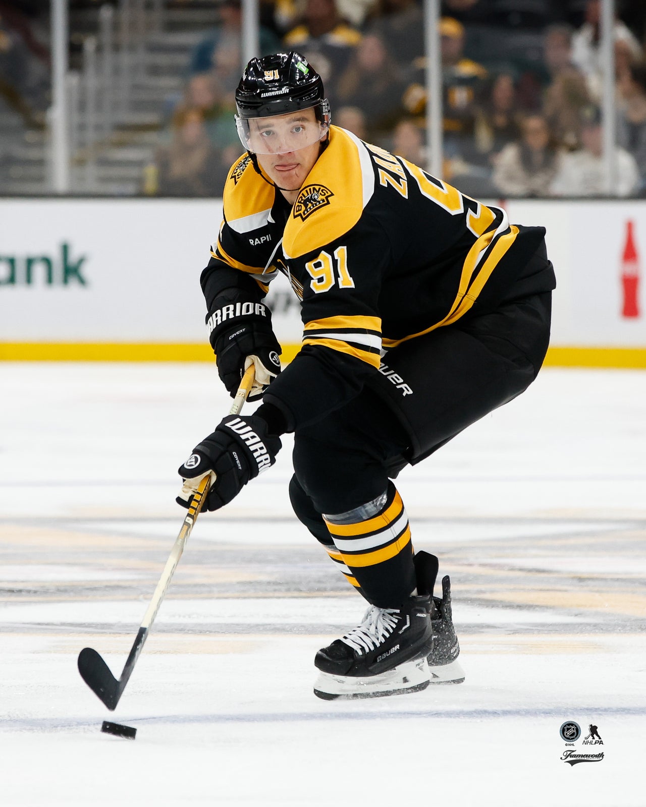 Nikita Zadorov in Action Boston Bruins Hockey Photo