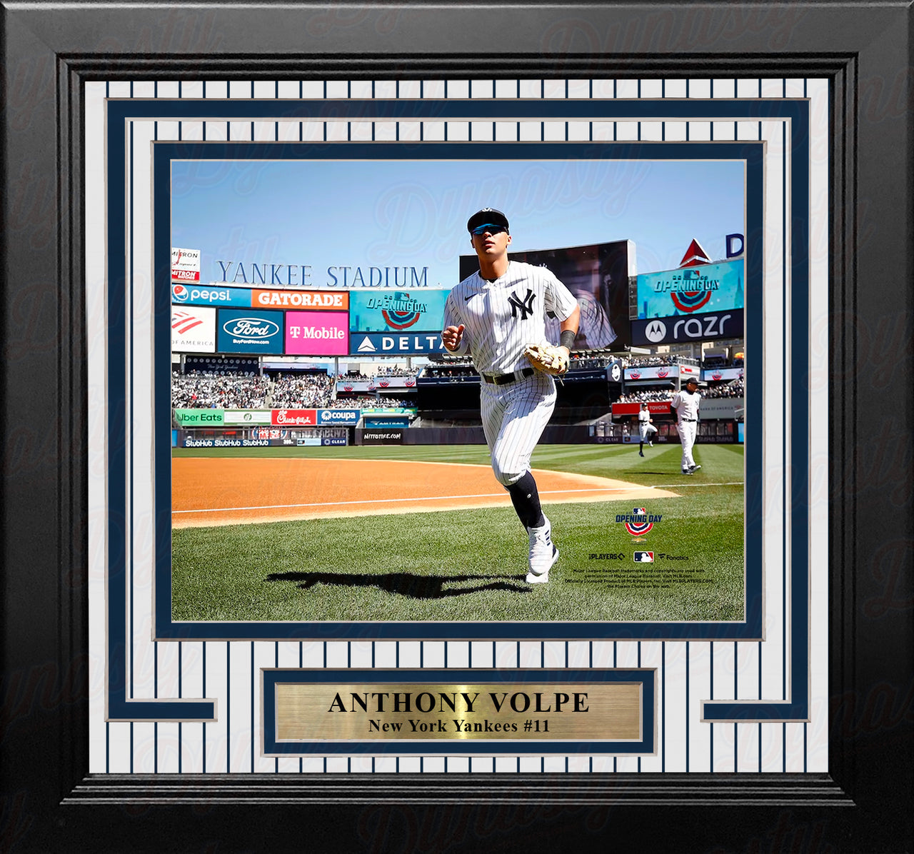 Anthony Volpe Walks Onto the Field New York Yankees 8" x 10" Framed Baseball Photo - Dynasty Sports & Framing 
