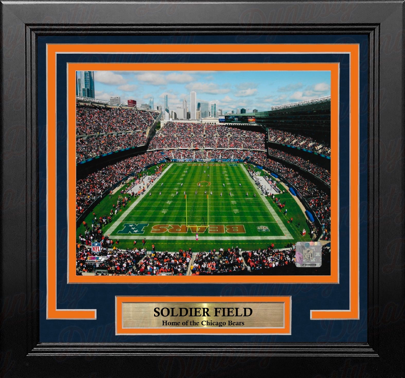Chicago Bears Soldier Field 8" x 10" Framed Football Stadium Photo