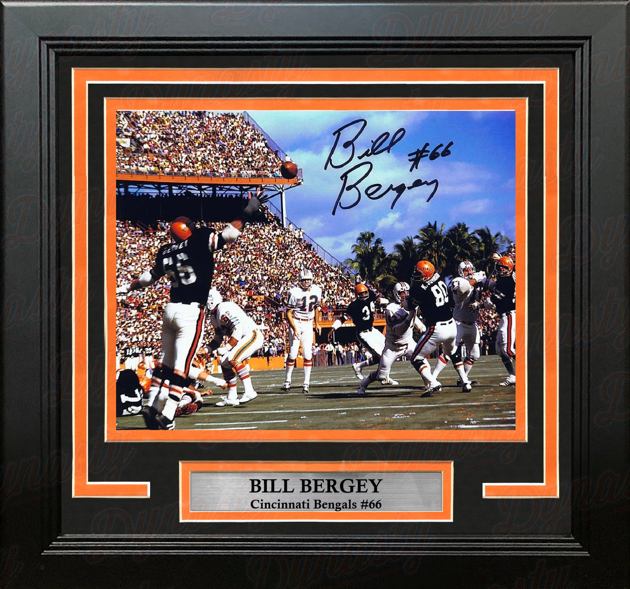Bill Bergey in Action Cincinnati Bengals Autographed 8" x 10" Framed Football Photo