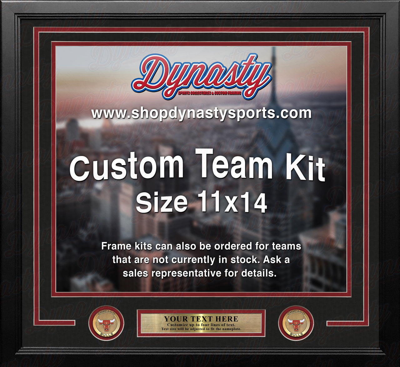 Chicago Bulls Custom NBA Basketball 11x14 Picture Frame Kit (Multiple Colors)