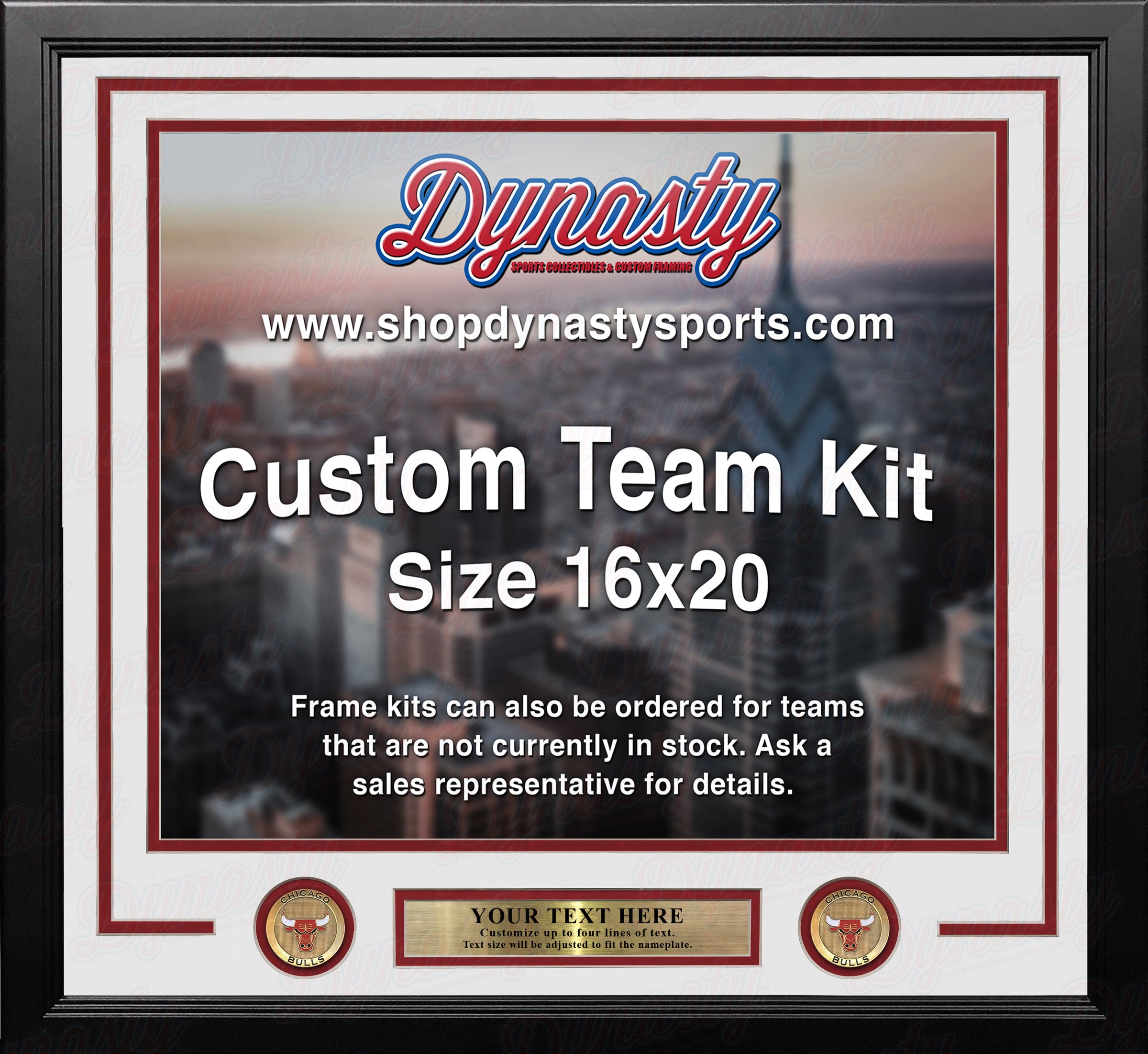 Chicago Bulls Custom NBA Basketball 16x20 Picture Frame Kit (Multiple Colors)