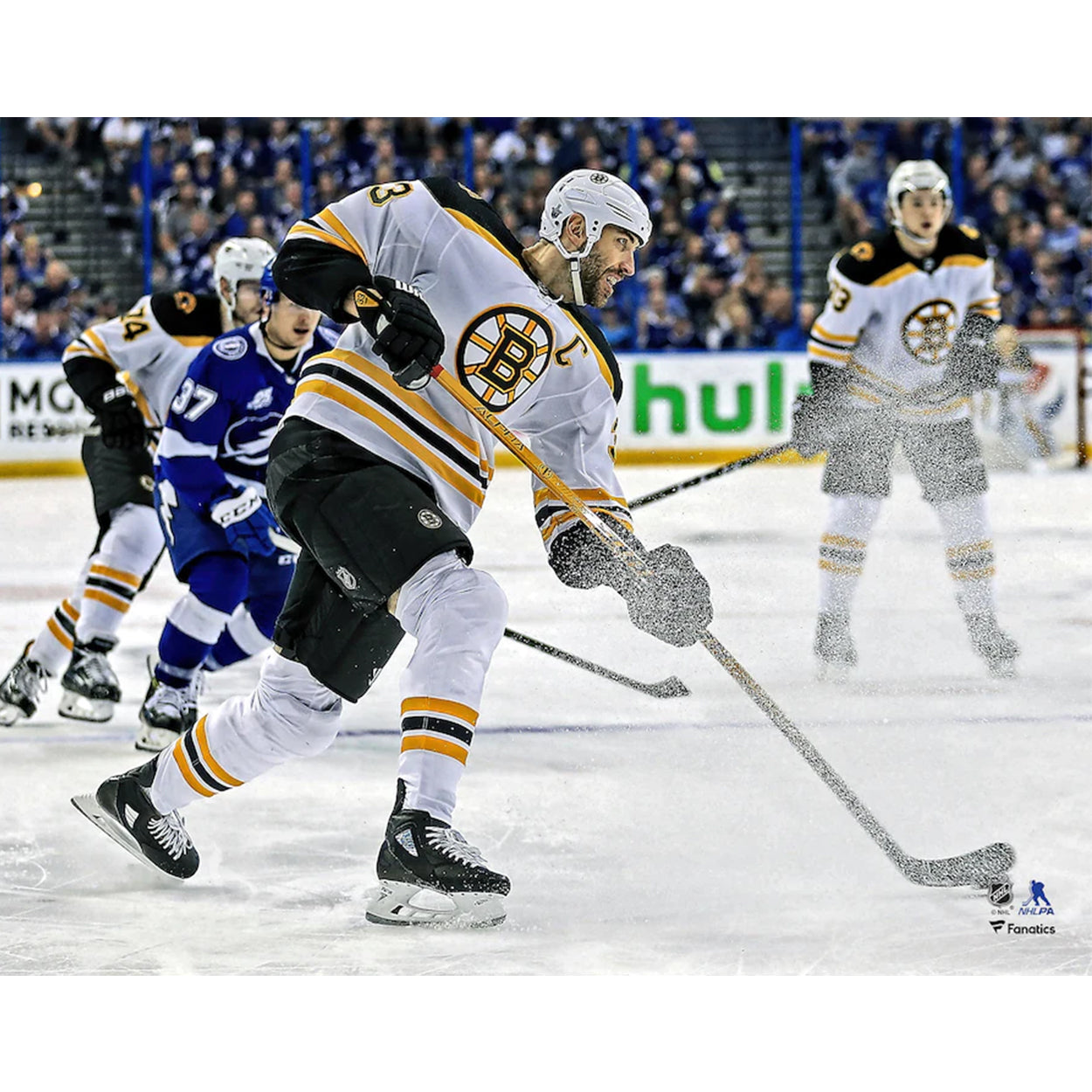 Zdeno Chara Boston Bruins In Action Photo