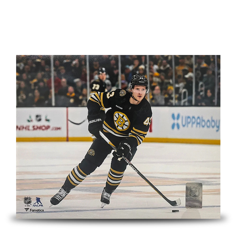 Danton Heinen in Action Boston Bruins 8" x 10" Hockey Photo