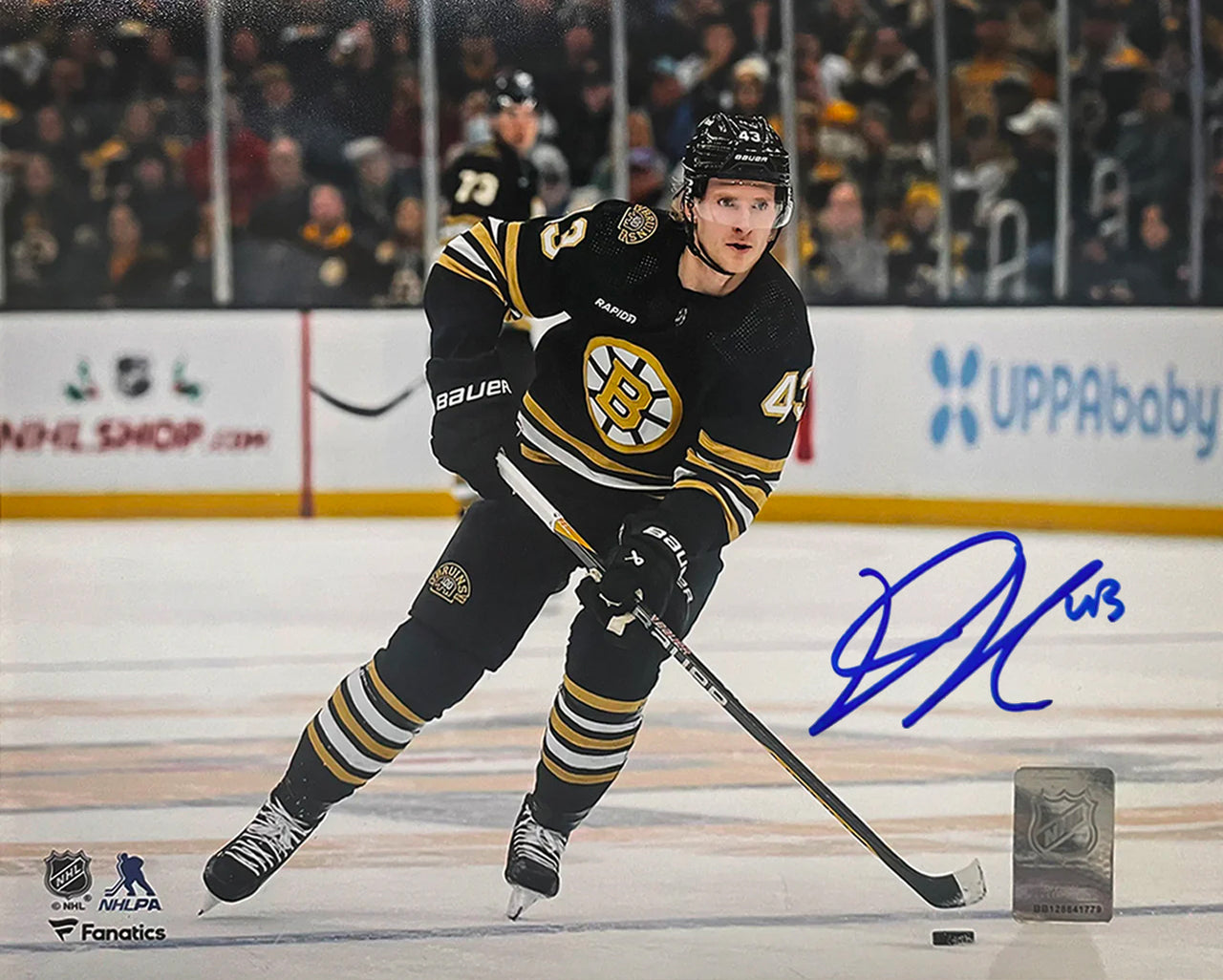Danton Heinen in Action Boston Bruins Autographed 8" x 10" Hockey Photo