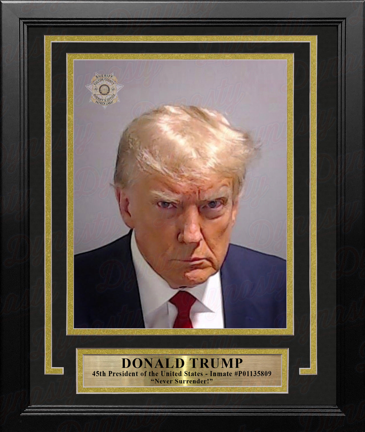 Donald Trump 45th President Fulton County Jail Mugshot 8" x 10" Framed Photo