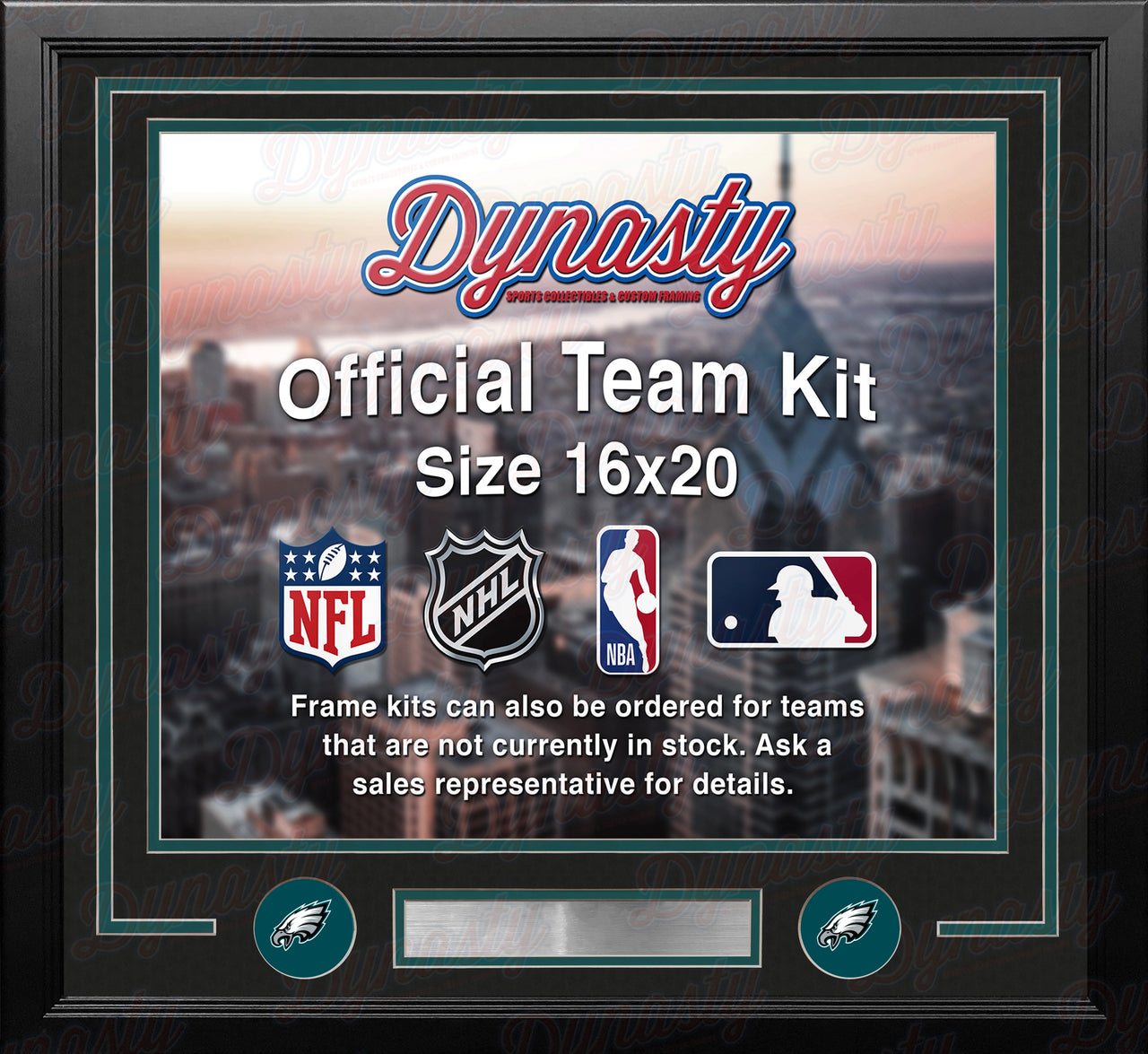 Philadelphia Eagles Custom NFL Football 16x20 Picture Frame Kit (Multiple Colors)