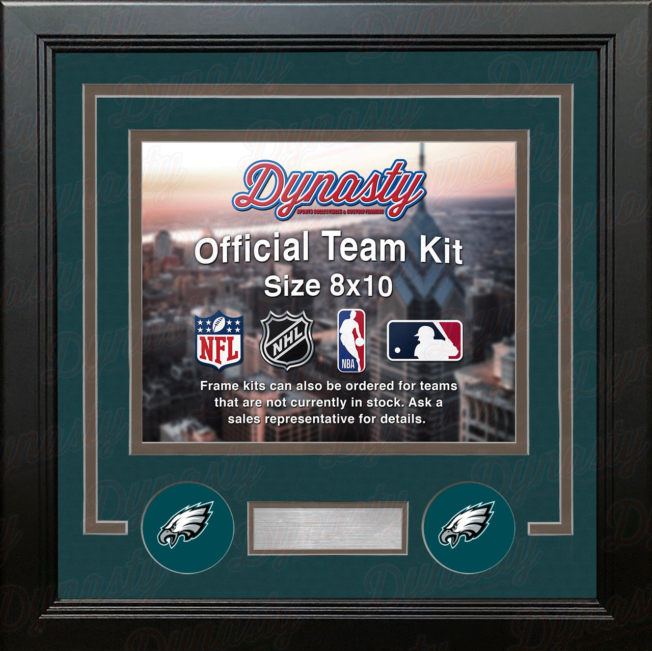 Philadelphia Eagles Custom NFL Football 8x10 Picture Frame Kit (Multiple Colors)