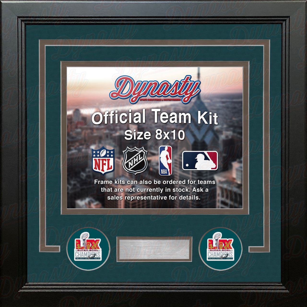 Philadelphia Eagles Super Bowl LIX Champions Custom NFL Football 8x10 Picture Frame Kit (3 Colors)