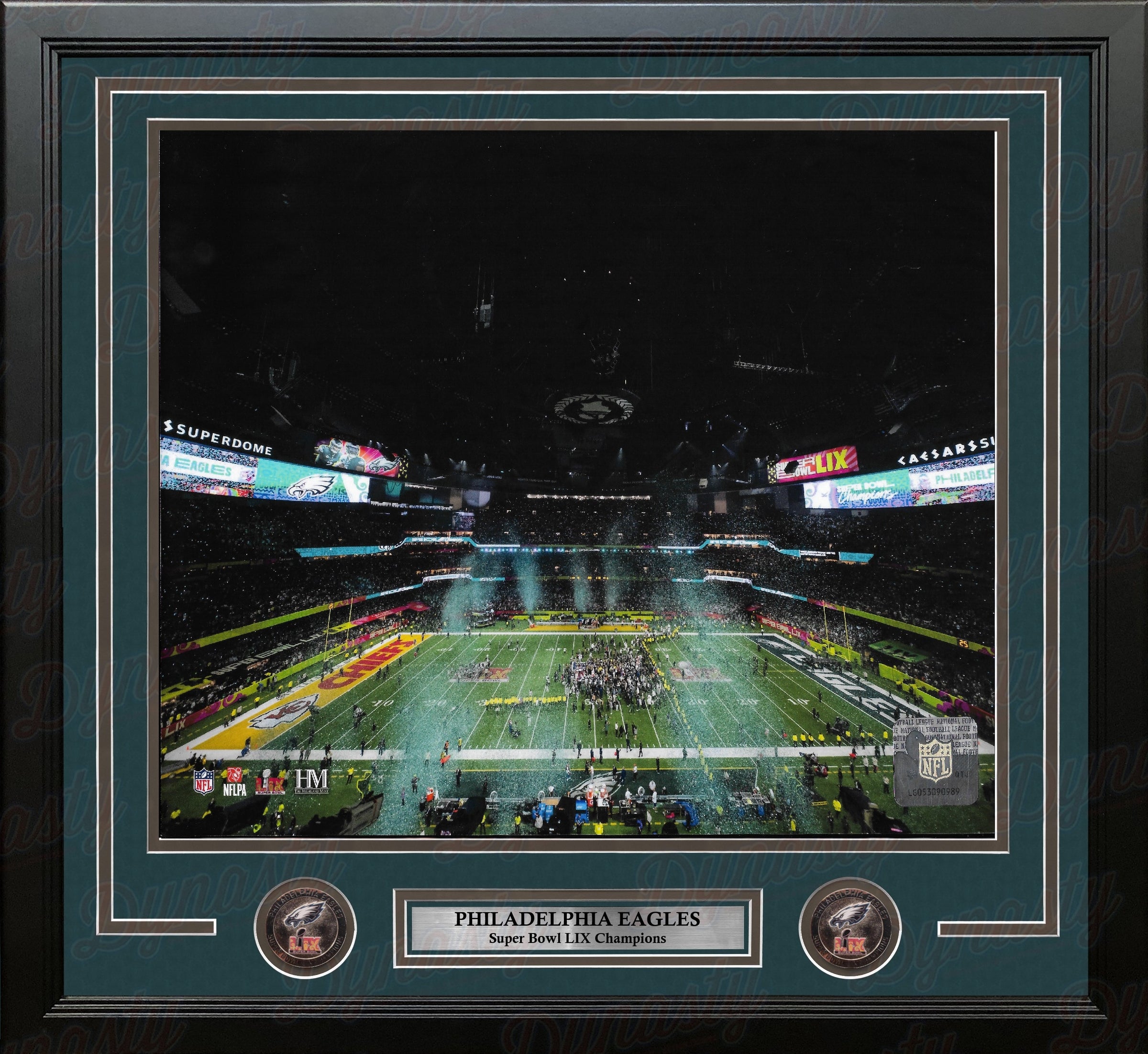 Philadelphia Eagles Super Bowl LIX Champions Stadium Celebration 16" x 20" Framed Football Photo