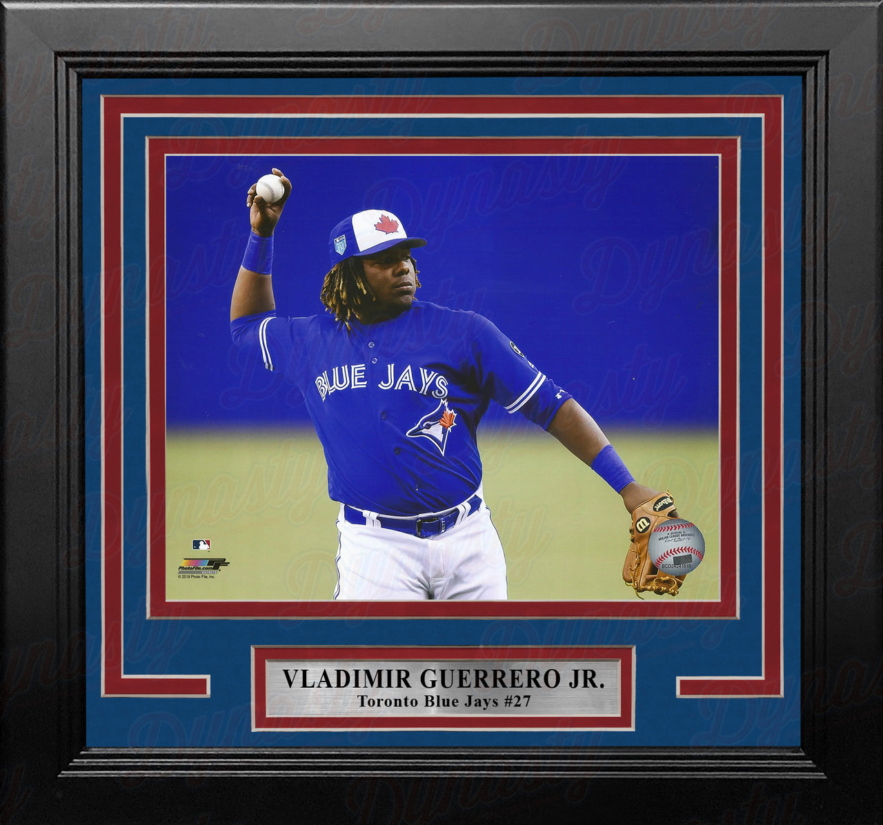 Vladimir Guerrero, Jr. Toronto Blue Jays Fielding 8" x 10" Framed Baseball Photo