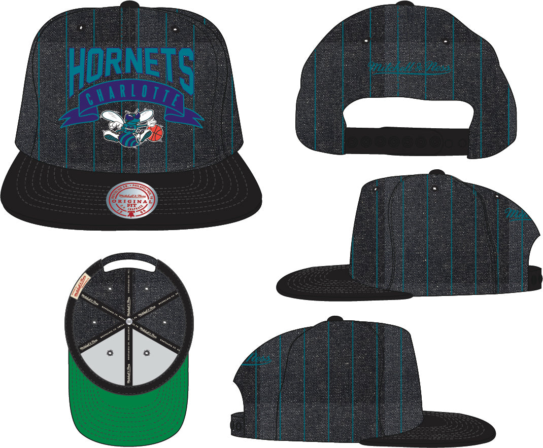 Charlotte Hornets Mitchell & Ness Dem Stripes Snapback Hat