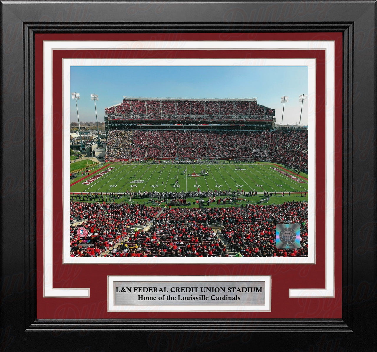Louisville Cardinals Aerial View at L&N Federal Credit Union Stadium 8x10 Framed College Photo