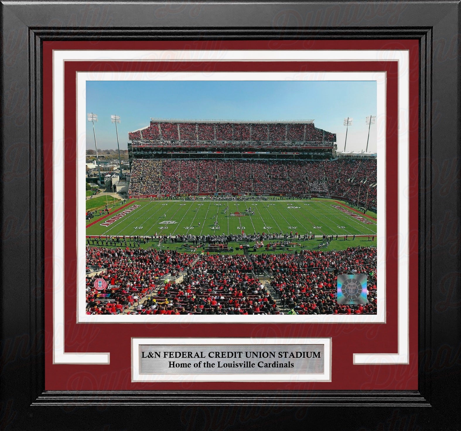 Louisville Cardinals Aerial View at L&N Federal Credit Union Stadium 8x10 Framed College Photo