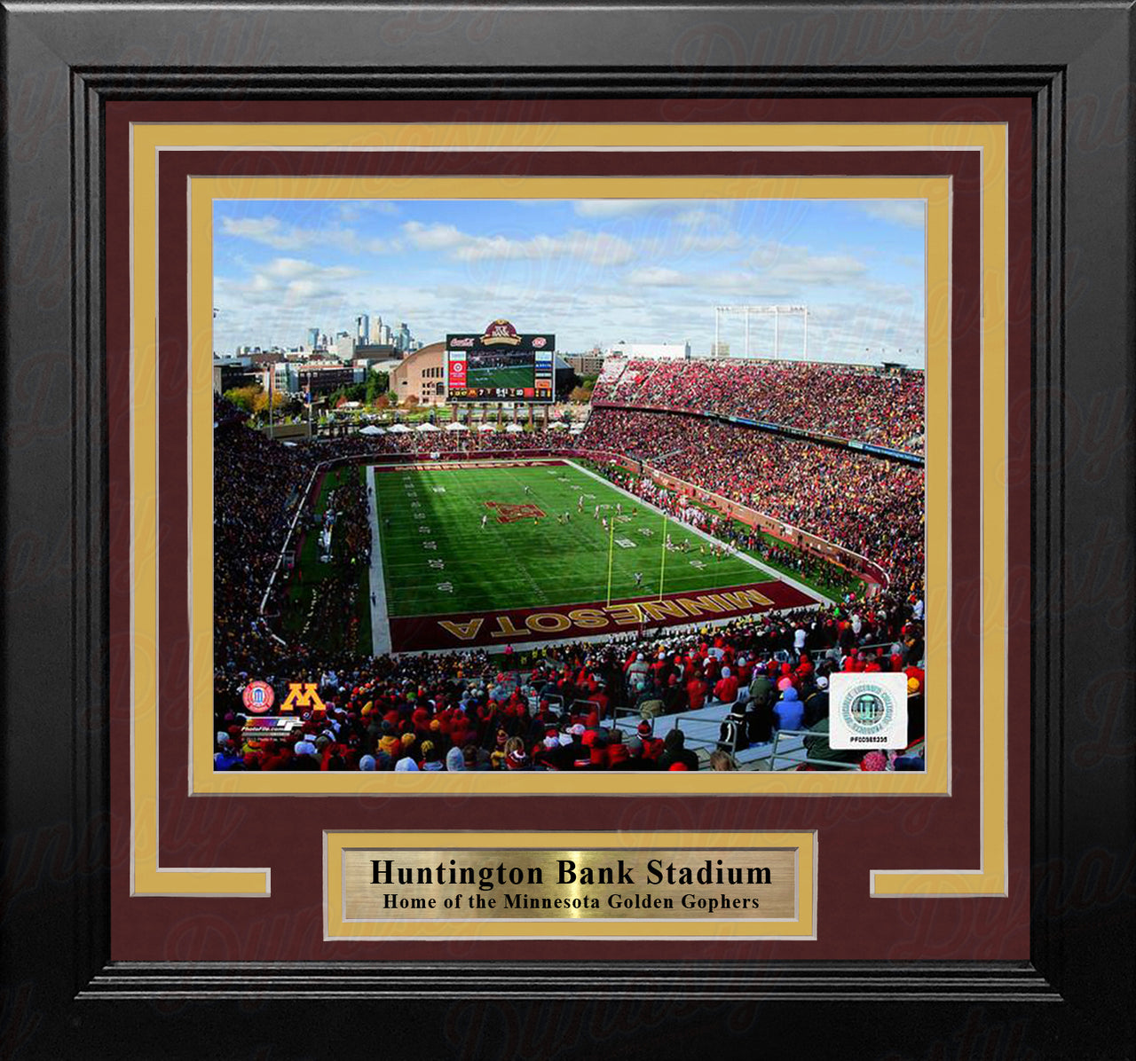 Minnesota Golden Gophers TCF Bank Stadium 8" x 10" Framed College Football Photo