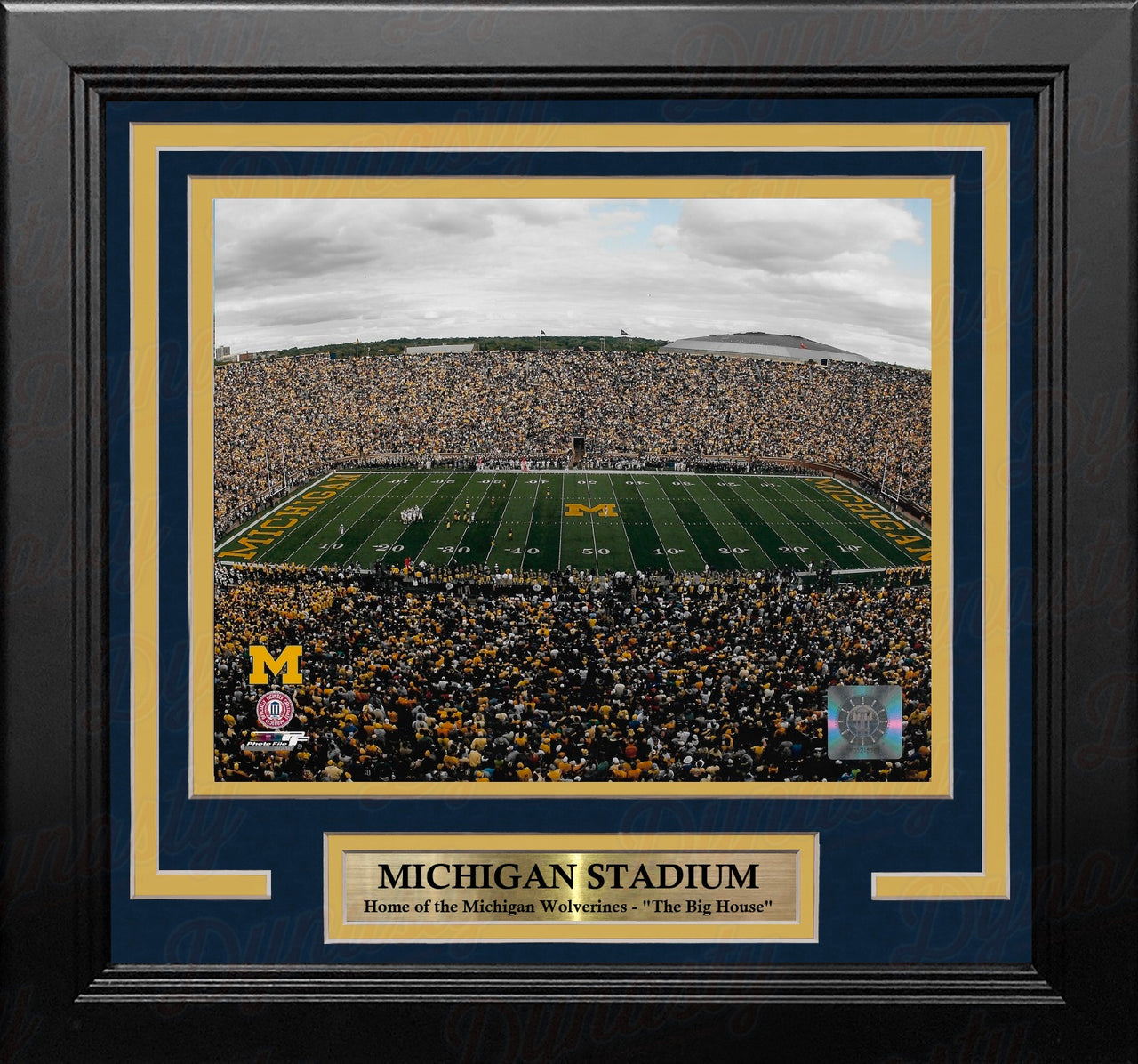 Michigan Wolverines Aerial View Michigan Stadium 8" x 10" Framed College Football Photo