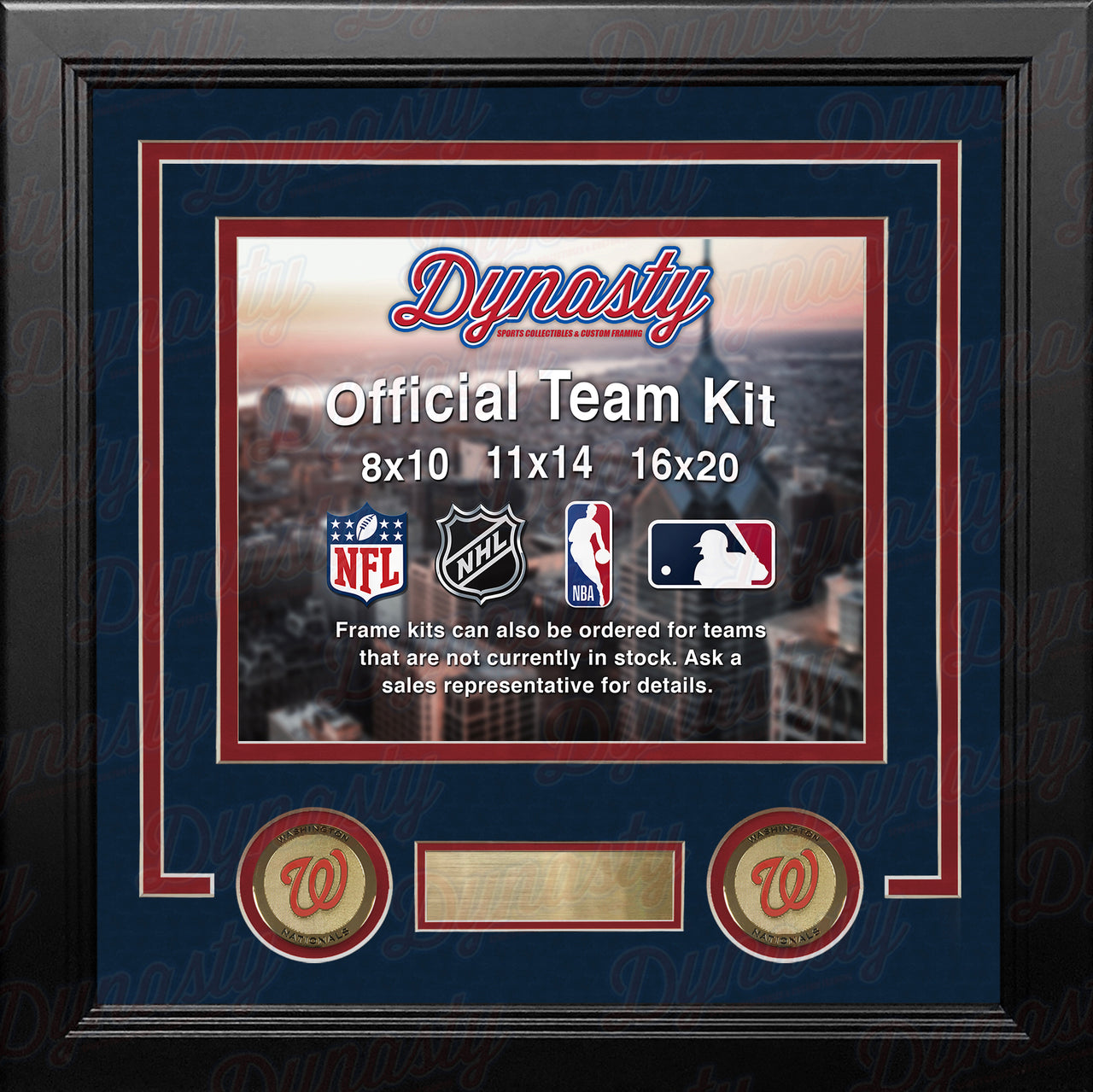 Washington Nationals Custom MLB Baseball 16x20 Picture Frame Kit (Multiple Colors) - Dynasty Sports & Framing 