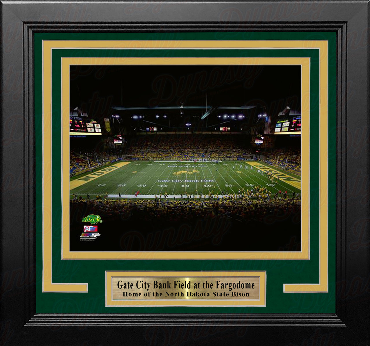North Dakota State Bison Fargodome NCAA College Football Stadium 8" x 10" Framed and Matted Photo