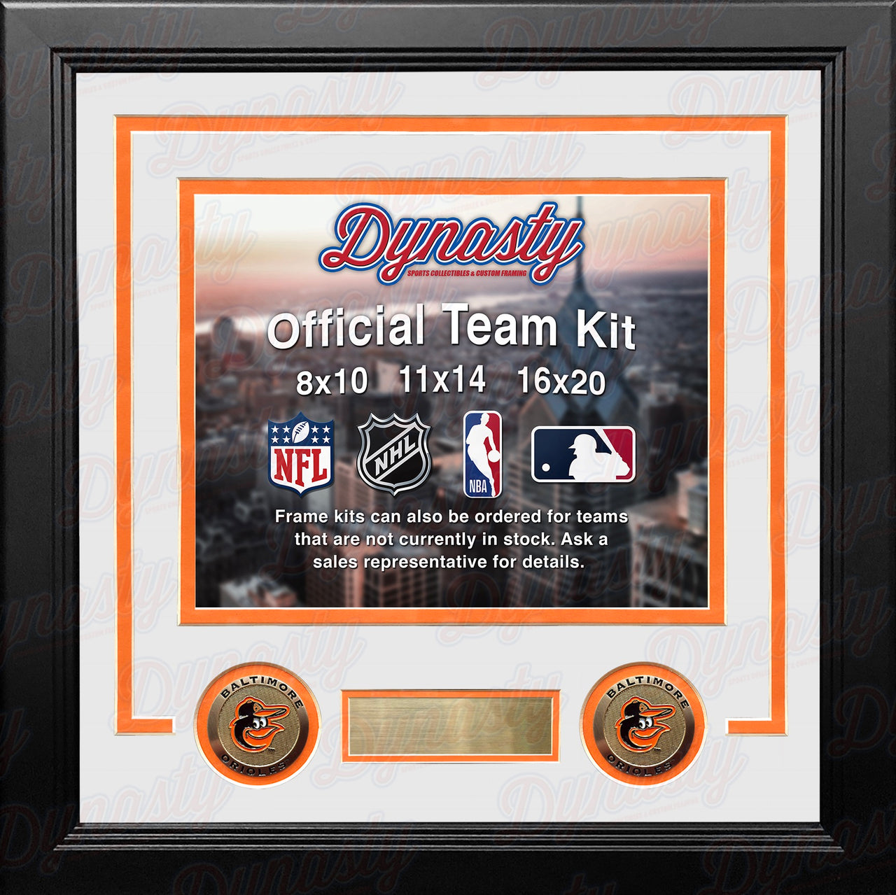 Baltimore Orioles Custom MLB Baseball 16x20 Picture Frame Kit (Multiple Colors) - Dynasty Sports & Framing