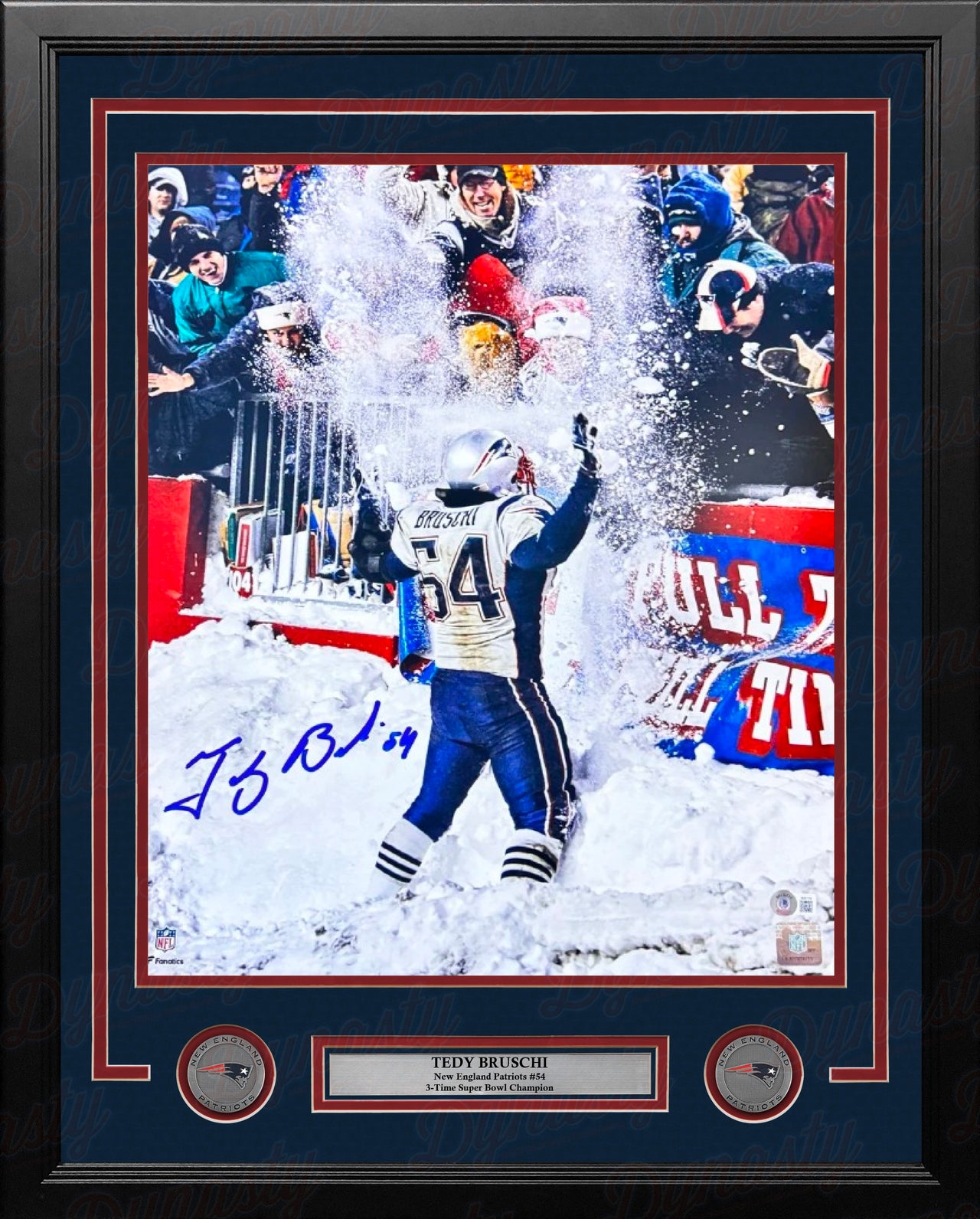 Tedy Bruschi Snow Celebration New England Patriots Autographed 16" x 20" Framed Football Photo