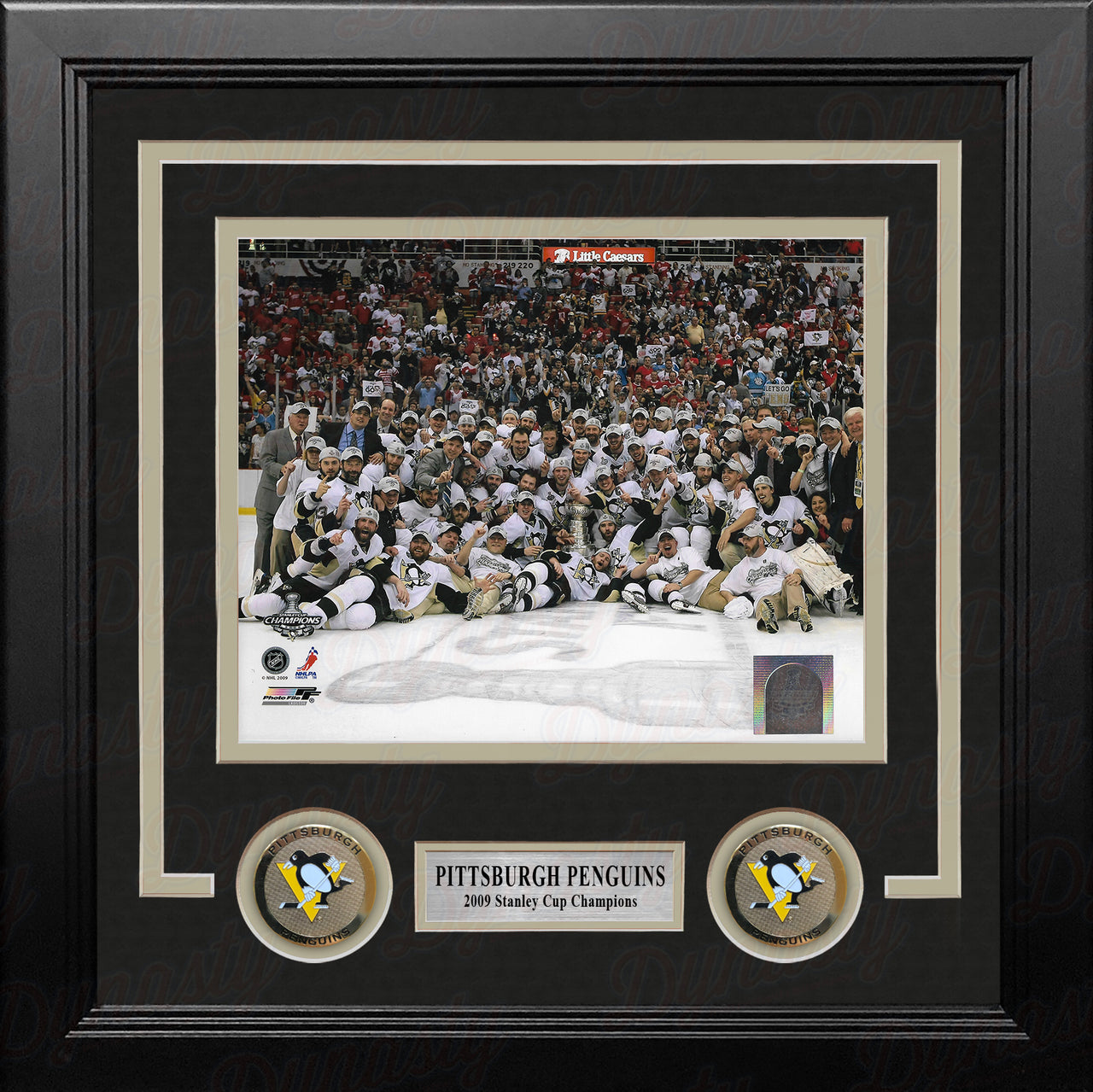 Pittsburgh Penguins 2009 Stanley Cup Champions Celebration 8" x 10" Framed Hockey Photo