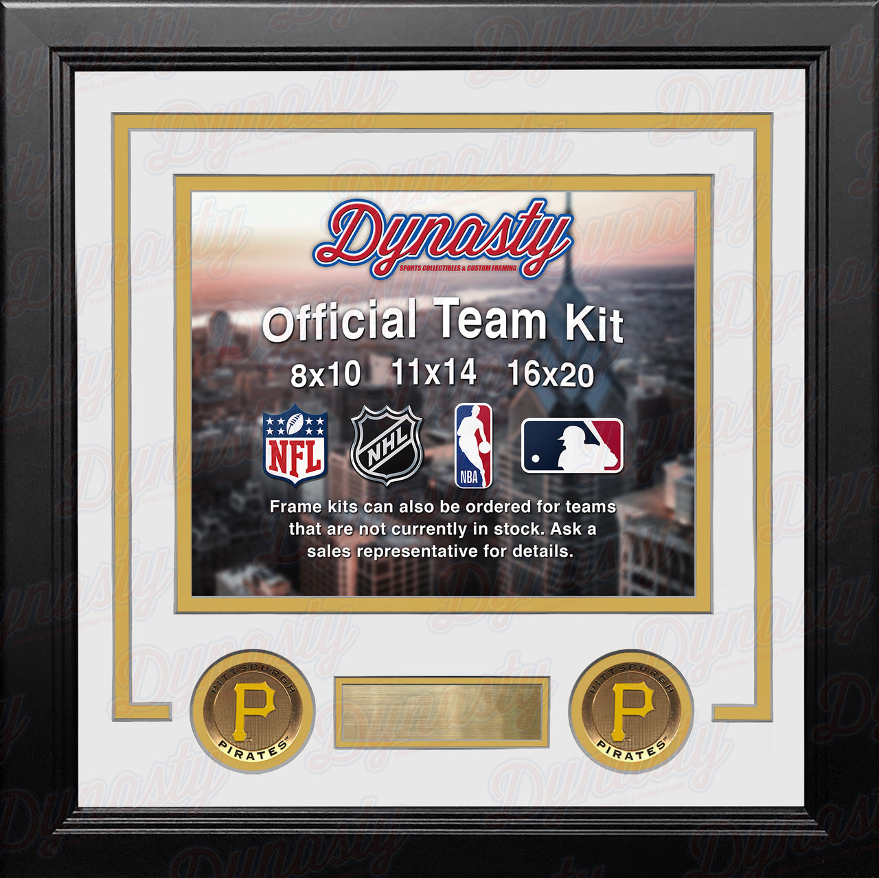 Pittsburgh Pirates Custom MLB Baseball 16x20 Picture Frame Kit (Multiple Colors) - Dynasty Sports & Framing