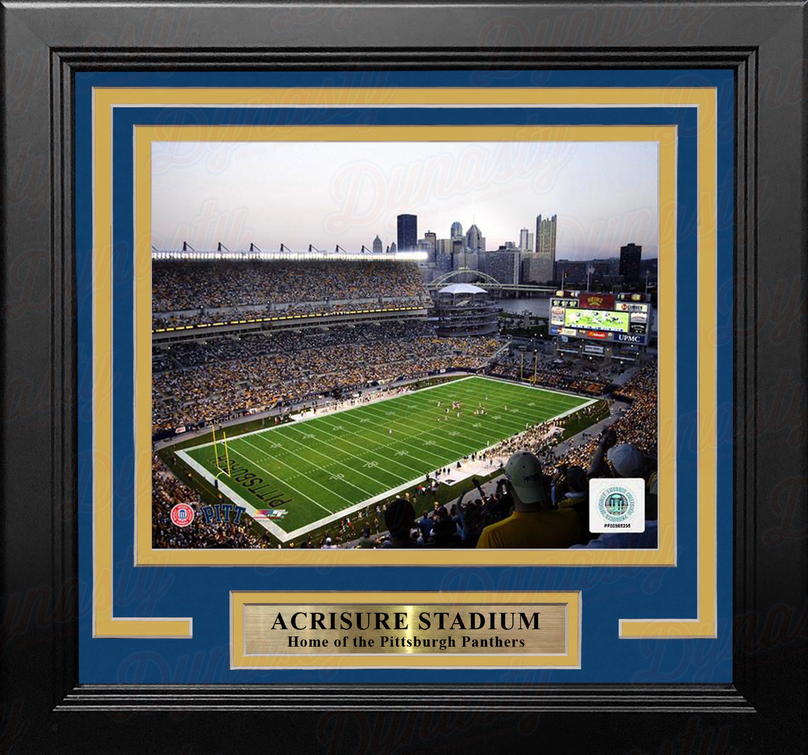 Pittsburgh Panthers Acrisure Stadium 8" x 10" Framed College Football Stadium Photo