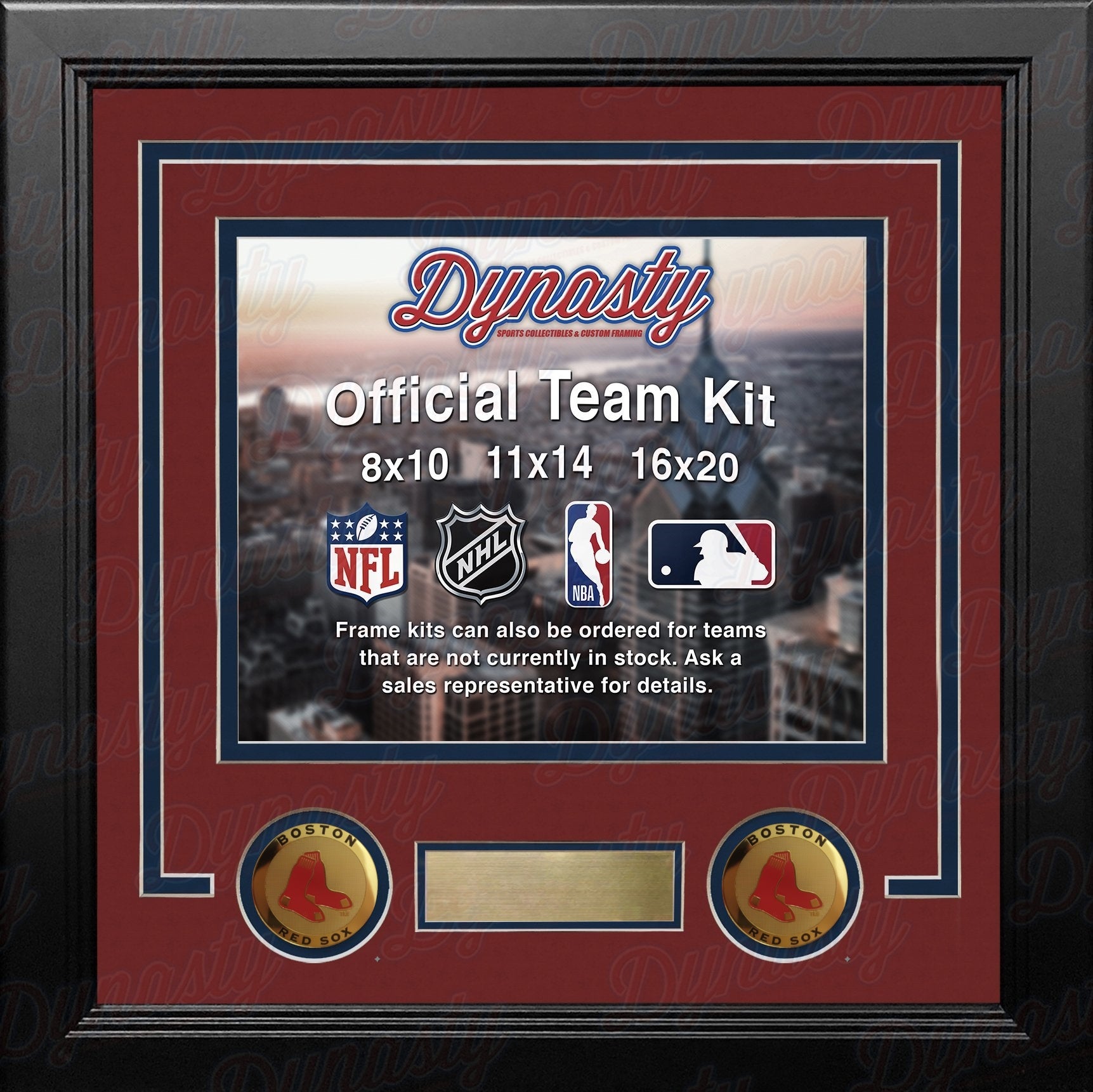 Boston Red Sox Custom MLB Baseball 16x20 Picture Frame Kit