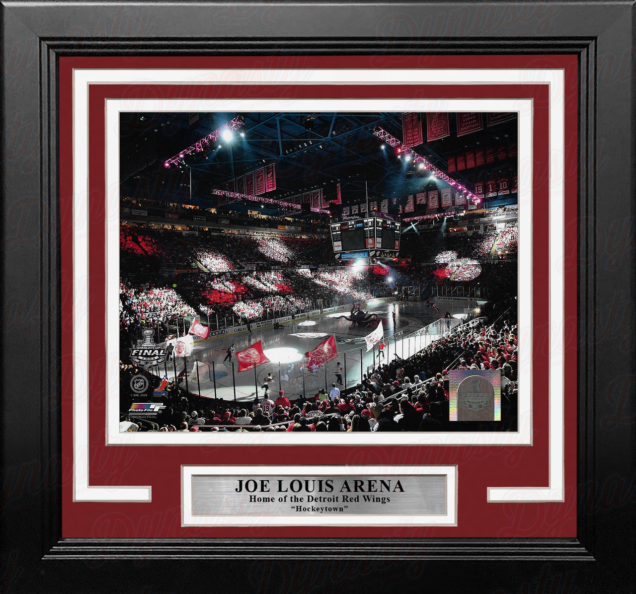 Detroit Red Wings Joe Louis Arena 2009 Stanley Cup Finals 8" x 10" Framed Hockey Stadium Photo