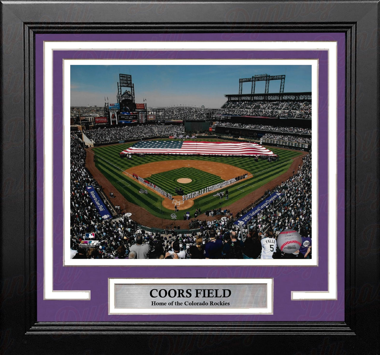 Colorado Rockies Coors Field 8" x 10" Framed Baseball Stadium Photo