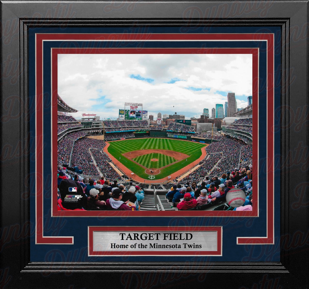 Minnesota Twins Target Field 8" x 10" Framed Baseball Stadium Photo