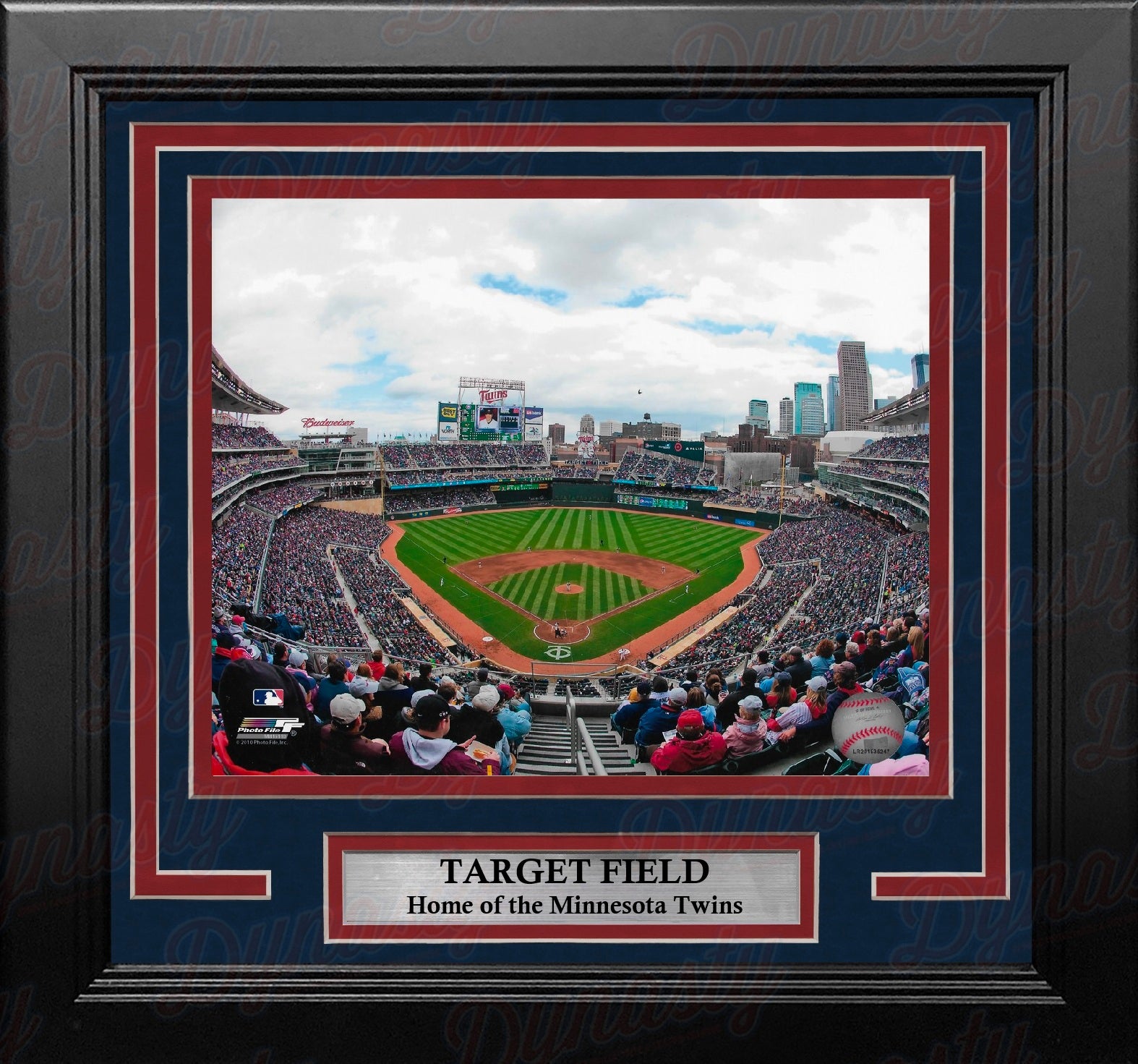 Minnesota Twins Target Field 8" x 10" Framed Baseball Stadium Photo