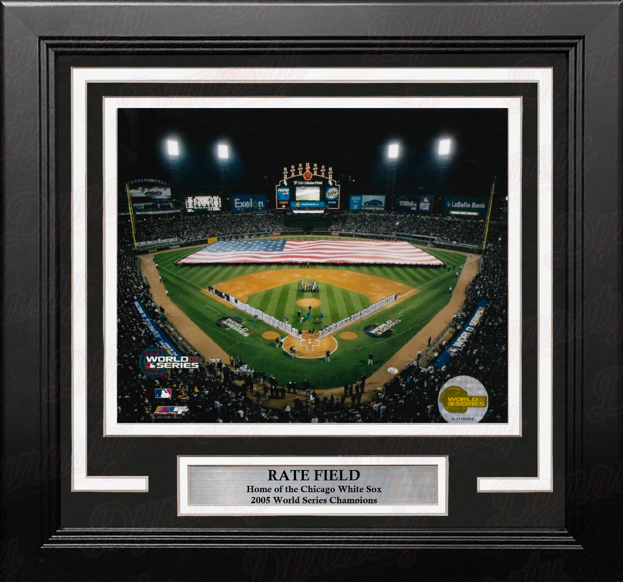 Chicago White Sox 2005 World Series 8" x 10" Framed Baseball Stadium Photo