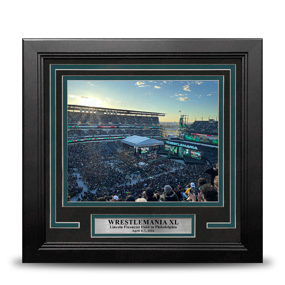 WrestleMania XL at Lincoln Financial Field 8" x 10" Framed WWE Wrestling Stadium Photo