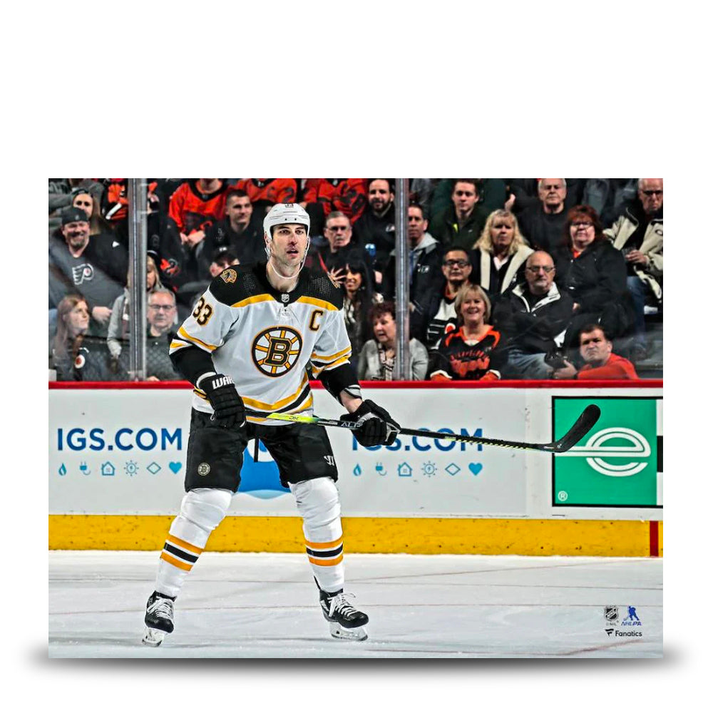 Zdeno Chara in Action Boston Bruins 8" x 10" Hockey Photo