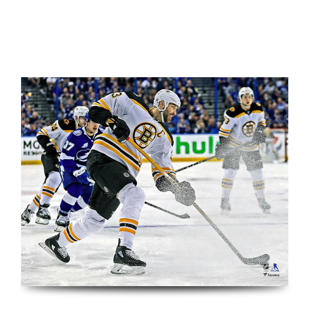 Zdeno Chara Boston Bruins In Action Photo